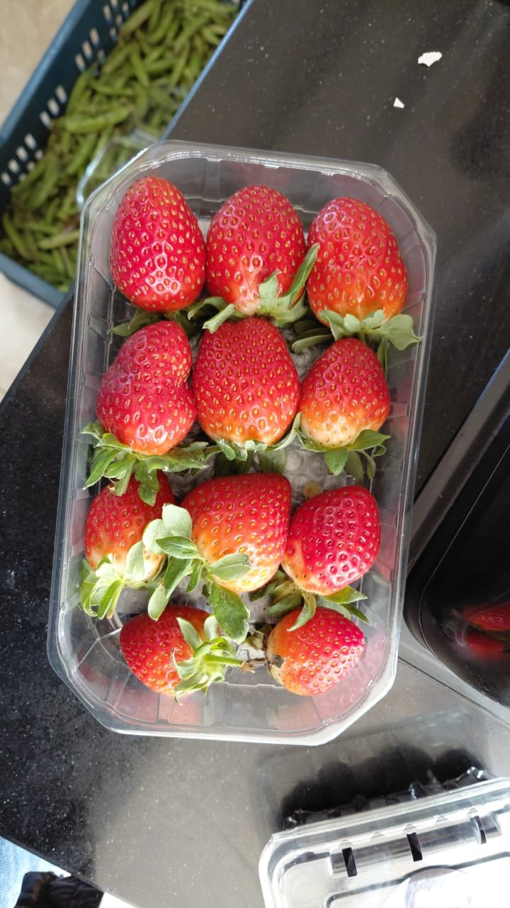 Fresh produce